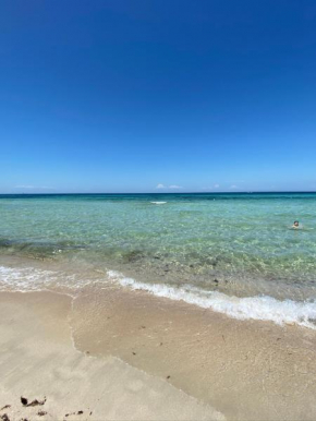 La Fenice sulla spiaggia